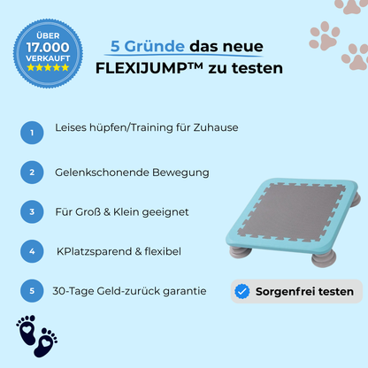 FlexiJump - Mini Trampolin "Bewegung, Spaß & Fitness für Kinder & Eltern in einem"