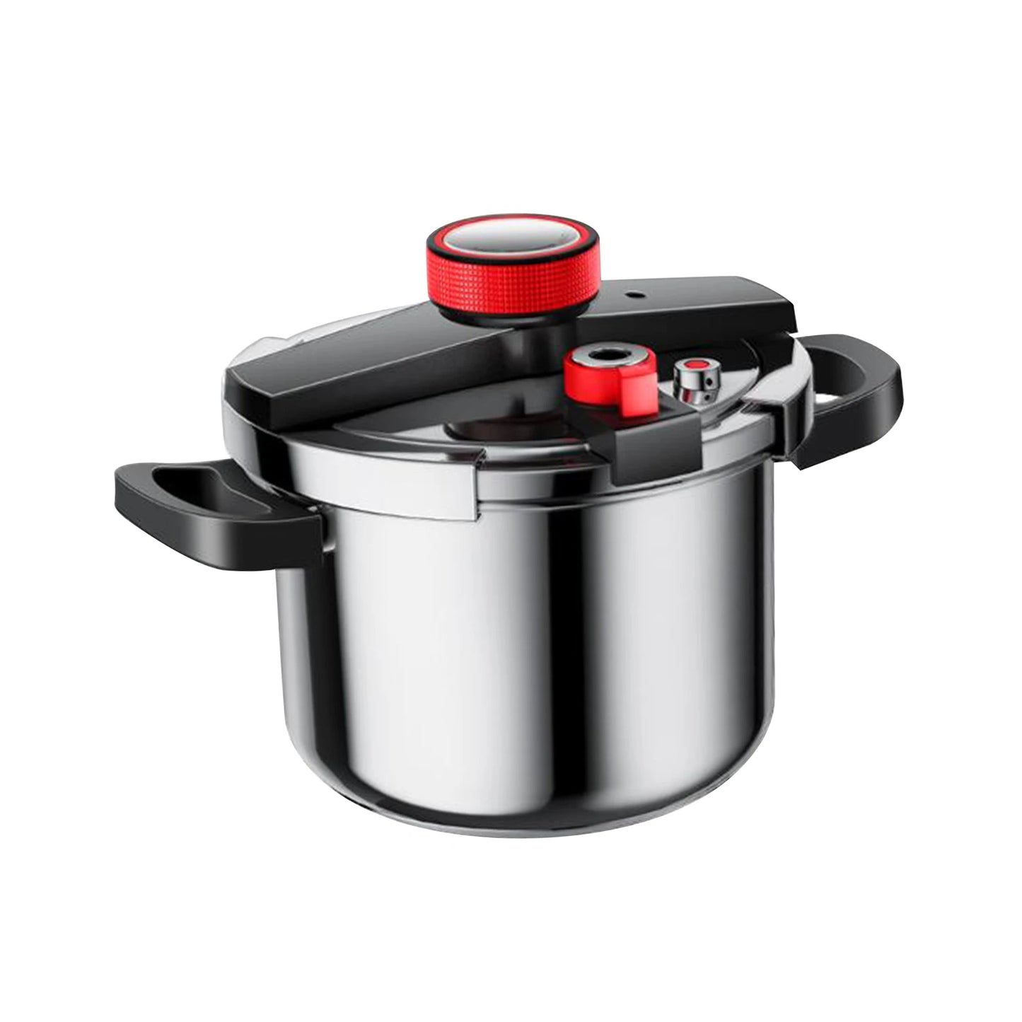 Stainless Steel Pressure Cooker